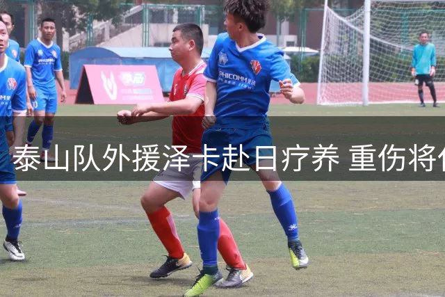 泰山队外援泽卡赴日疗养 重伤将休战近两月